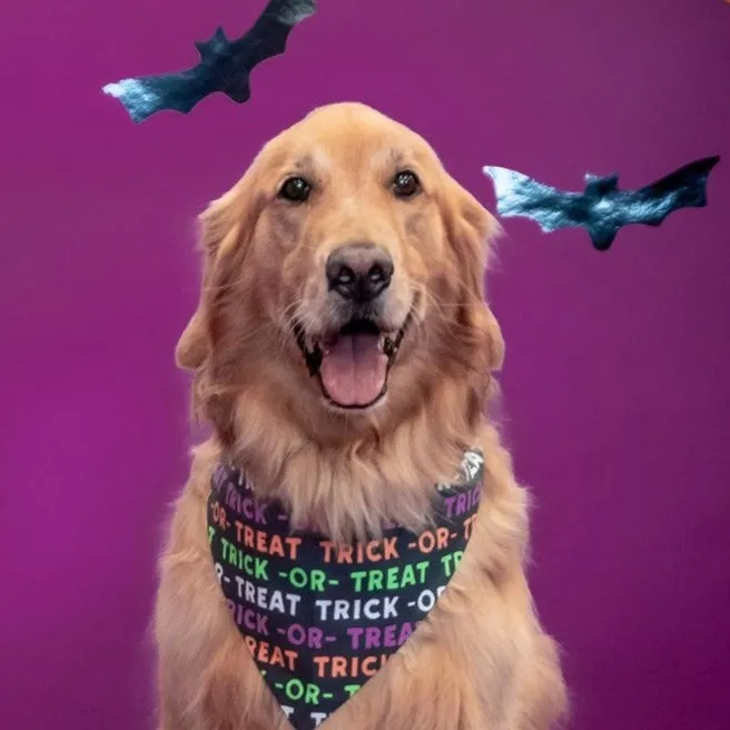 Halloween Dog Bandanas with Pets Name