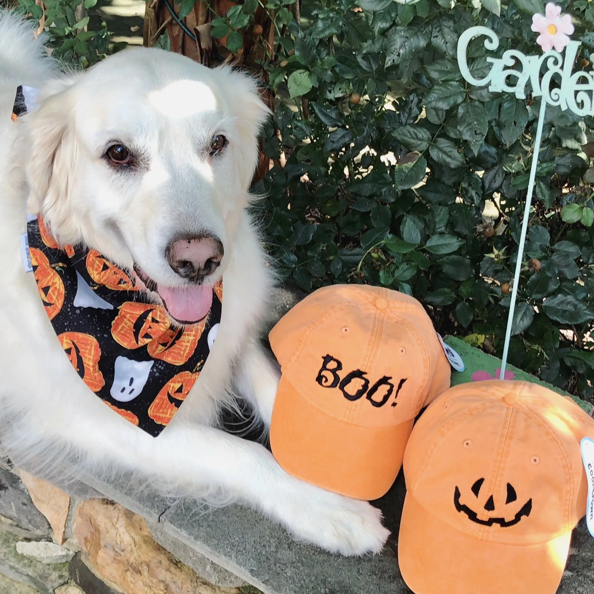 Halloween Dog Bandanas with Pets Name