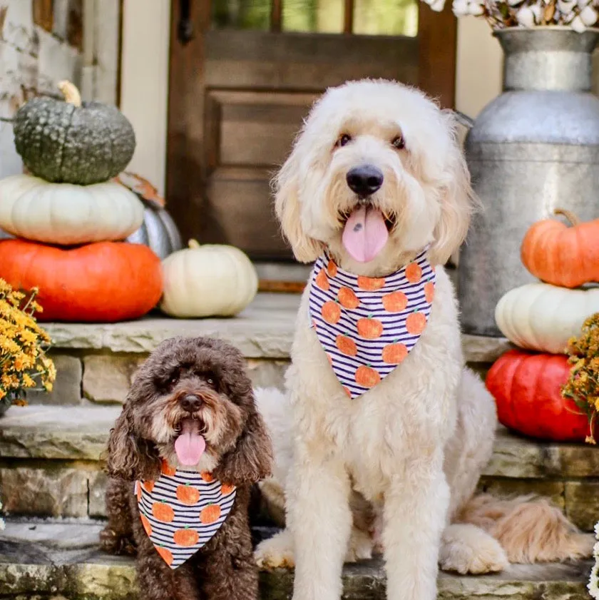 Halloween Dog Bandanas with Pets Name